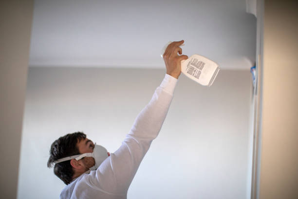 Best Professional Mold Removal  in Wright, WY