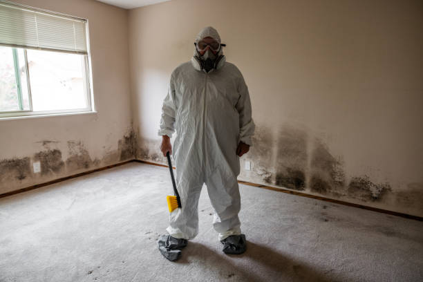 Best Fast Mold Removal  in Wright, WY